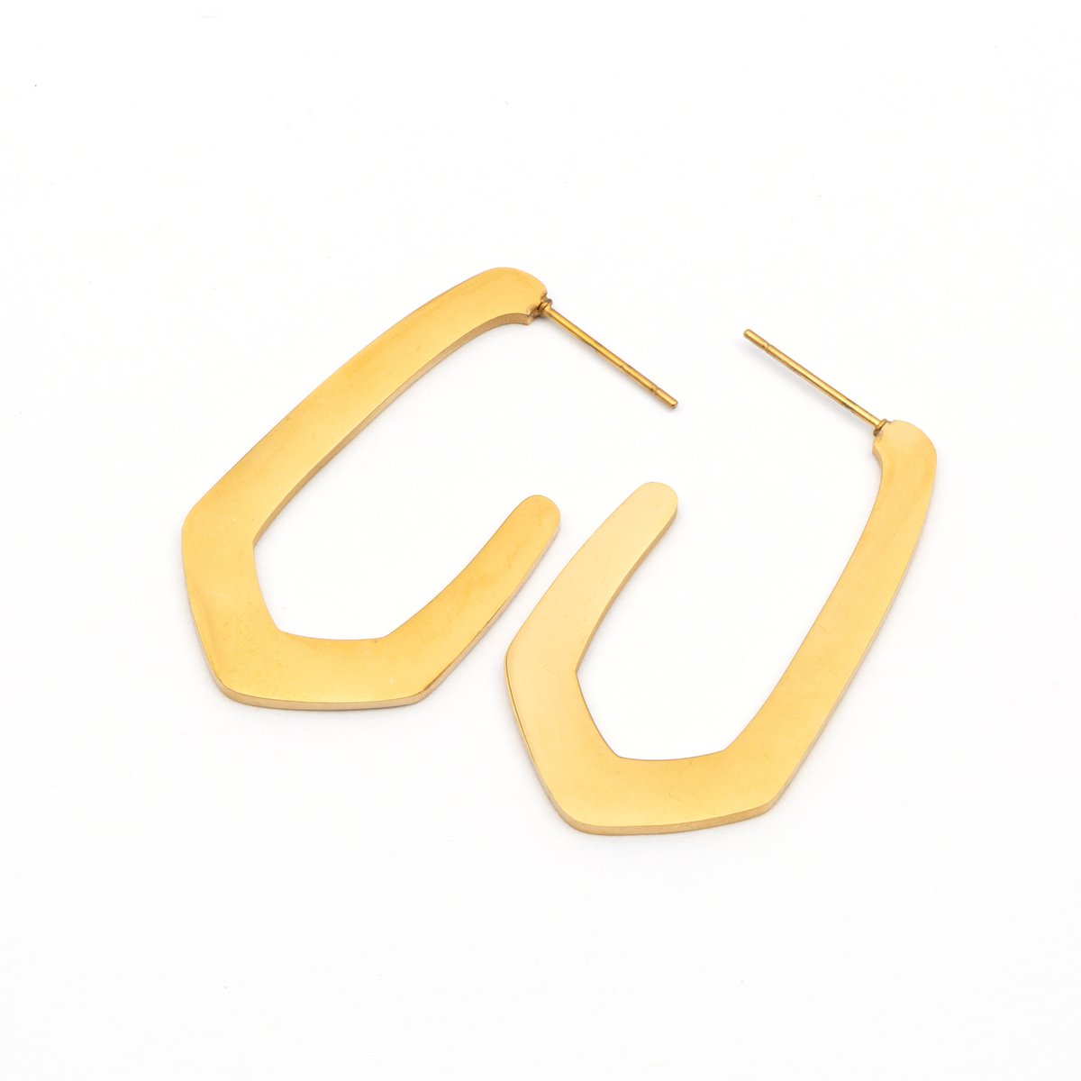 Oorbellen Klimop | Premium roestvrij staal